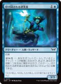 【JPN】付け回される研究者/Stalked Researcher [MTG_DSK_0073_C]