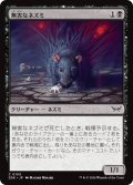 【JPN】無害なネズミ/Innocuous Rat [MTG_DSK_0103_C]