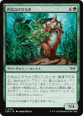 【JPN】内気なけだもの/Bashful Beastie [MTG_DSK_0169_C]