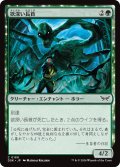 【JPN】欲深い長首/Grasping Longneck [MTG_DSK_0180_C]