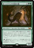 【JPN】ホーントウッドの金切り魔/Hauntwoods Shrieker [MTG_DSK_0182_M]