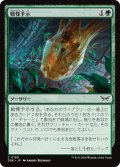 【JPN】戦慄予示/Manifest Dread [MTG_DSK_0189_C]