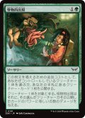 【JPN】怪物的出現/Monstrous Emergence [MTG_DSK_0191_C]