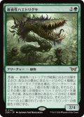 【JPN】雑食性ハエトリグサ/Omnivorous Flytrap [MTG_DSK_0192_R]