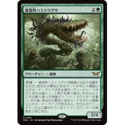 画像1: 【JPN】雑食性ハエトリグサ/Omnivorous Flytrap [MTG_DSK_0192_R]