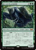 【JPN】ホーントウッドの大主/Overlord of the Hauntwoods [MTG_DSK_0194_M]