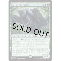 【JPN】ホーントウッドの大主/Overlord of the Hauntwoods [MTG_DSK_0194_M]