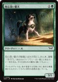 【JPN】用心深い番犬/Wary Watchdog [MTG_DSK_0206_C]