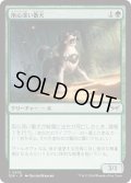 【JPN】用心深い番犬/Wary Watchdog [MTG_DSK_0206_C]