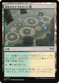 【JPN】刻まれたトウモロコシ畑/Etched Cornfield [MTG_DSK_0258_C]