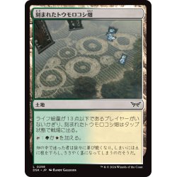 画像1: 【JPN】刻まれたトウモロコシ畑/Etched Cornfield [MTG_DSK_0258_C]