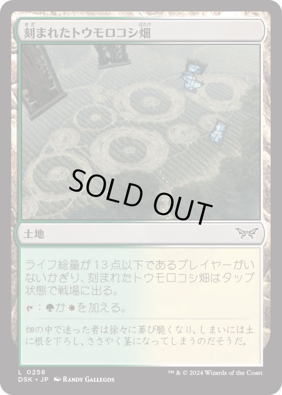 画像1: 【JPN】刻まれたトウモロコシ畑/Etched Cornfield [MTG_DSK_0258_C] (1)