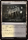 【JPN】放置された邸宅/Neglected Manor [MTG_DSK_0264_C]