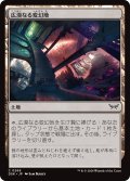 【JPN】広漠なる変幻地/Terramorphic Expanse [MTG_DSK_0269_C]