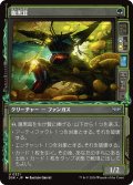 【JPN】腹黒茸/Insidious Fungus [MTG_DSK_0321_U]