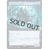 【JPN】フラッドピットの大主/Overlord of the Floodpits [MTG_DSK_0373_M]