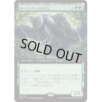 【JPN】ホーントウッドの大主/Overlord of the Hauntwoods [MTG_DSK_0383_M]