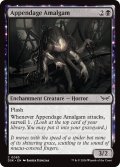 【ENG】付属肢の融合体/Appendage Amalgam [MTG_DSK_0083_C]