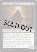 【ENG】復活した崇拝者/Resurrected Cultist [MTG_DSK_0115_C]