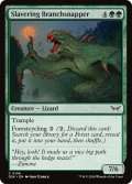 【ENG】よだれ流しの枝潰し/Slavering Branchsnapper [MTG_DSK_0198_C]