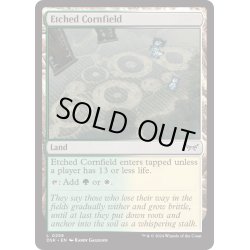 画像1: 【ENG】刻まれたトウモロコシ畑/Etched Cornfield [MTG_DSK_0258_C]