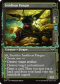 【ENG】腹黒茸/Insidious Fungus [MTG_DSK_0321_U]