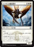 【JPN】エイヴンの陽光弾手/Aven Sunstriker[MTG_DTK_005U]