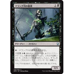 画像1: 【JPN】マラング川の骸骨/Marang River Skeleton[MTG_DTK_108U]