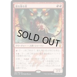 画像1: 【JPN】龍を操る者/Dragon Whisperer[MTG_DTK_137M]