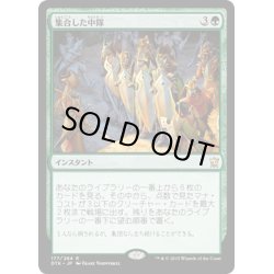 画像1: 【JPN】集合した中隊/Collected Company[MTG_DTK_177R]