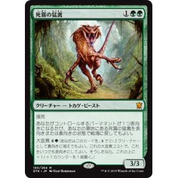 画像1: 【JPN】死霧の猛禽/Deathmist Raptor[MTG_DTK_180M]