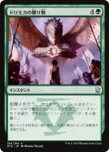 【JPN】ドロモカの贈り物/Dromoka's Gift[MTG_DTK_184U]