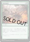 【JPN】爆発的植生/Explosive Vegetation[MTG_DTK_186U]