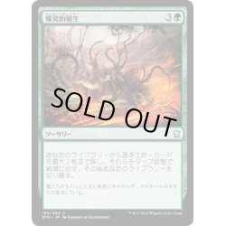 画像1: 【JPN】爆発的植生/Explosive Vegetation[MTG_DTK_186U]