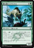 【JPN】隠れ潜むエイリンクス/Lurking Arynx[MTG_DTK_192U]