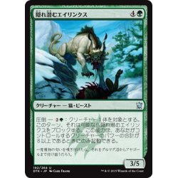 画像1: 【JPN】隠れ潜むエイリンクス/Lurking Arynx[MTG_DTK_192U]