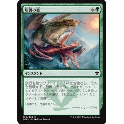 画像1: 【JPN】切翼の宴/Pinion Feast[MTG_DTK_195C]