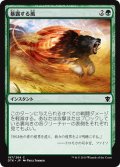 【JPN】暴露する風/Revealing Wind[MTG_DTK_197C]