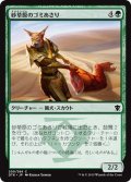 【JPN】砂草原のゴミあさり/Sandsteppe Scavenger[MTG_DTK_200C]