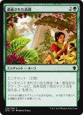 【JPN】遮蔽された高楼/Sheltered Aerie[MTG_DTK_206C]