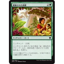 画像1: 【JPN】遮蔽された高楼/Sheltered Aerie[MTG_DTK_206C]