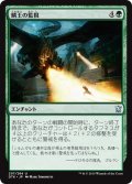 【JPN】鱗王の監視/Sight of the Scalelords[MTG_DTK_207U]