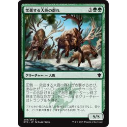 画像1: 【JPN】突進する大鹿の群れ/Stampeding Elk Herd[MTG_DTK_208C]