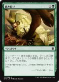 【JPN】踏み付け/Tread Upon[MTG_DTK_211C]