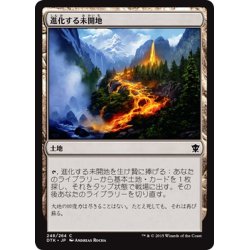 画像1: 【JPN】進化する未開地/Evolving Wilds[MTG_DTK_248C]