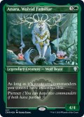 【ENG】★Foil★尊狼の使い魔、アナーラ/Anara, Wolvid Familiar[MTG_CMR_577U]