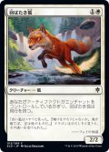 【JPN】羽ばたき狐/Flutterfox[MTG_ELD_012C]