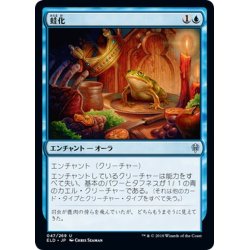 画像1: 【JPN】蛙化/Frogify[MTG_ELD_047U]