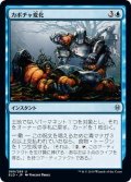 【JPN】カボチャ変化/Turn into a Pumpkin[MTG_ELD_069U]