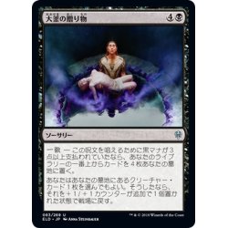 画像1: 【JPN】大釜の贈り物/Cauldron's Gift[MTG_ELD_083U]